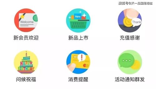 融合短信營銷技巧與信息系統運行維護服務，打造穩固顧客關系
